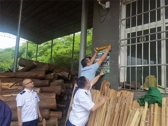 黔江：多措并举开展松材线虫病疫情防治工作