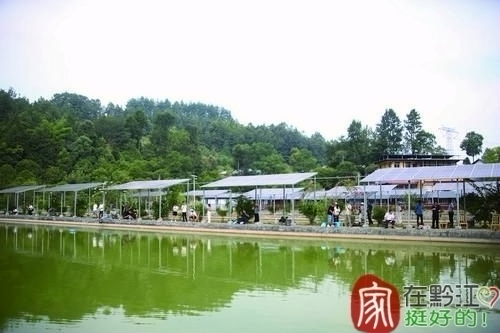 黔江：乡村旅游蝶变升级 打造巴渝和美乡村