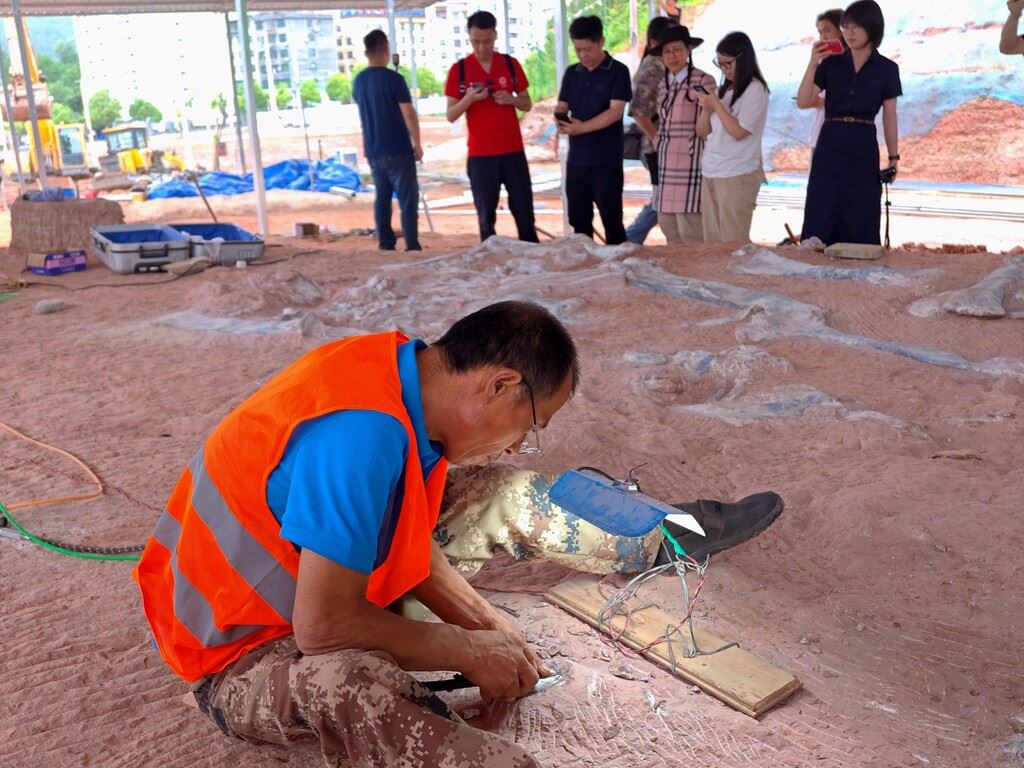乘渝厦高铁走进武陵山区｜紧邻高铁站 黔江白垩纪恐龙悄然“出山”