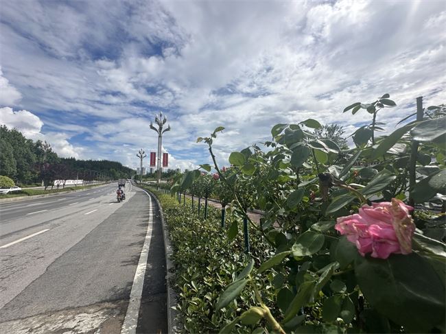 黔江：武陵大道景观焕新升级 打造高品质城市形象