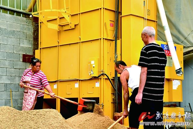 黔江供电公司打出“组合拳”确保“满格”电力持续加持