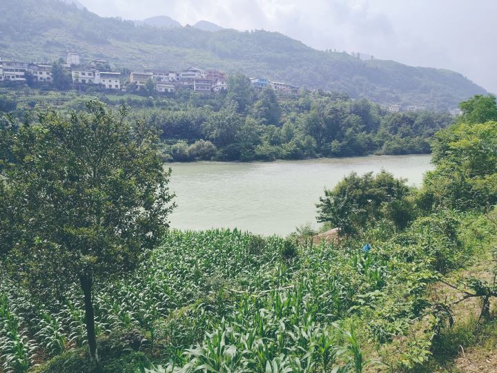 协同治乡攻坚黑臭水体治理绘就生态宜居底色