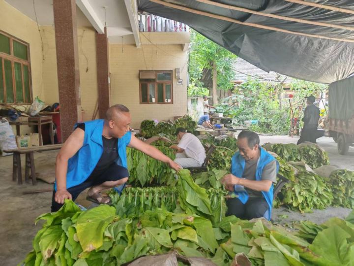 助农串烤烟情暖烟火间
