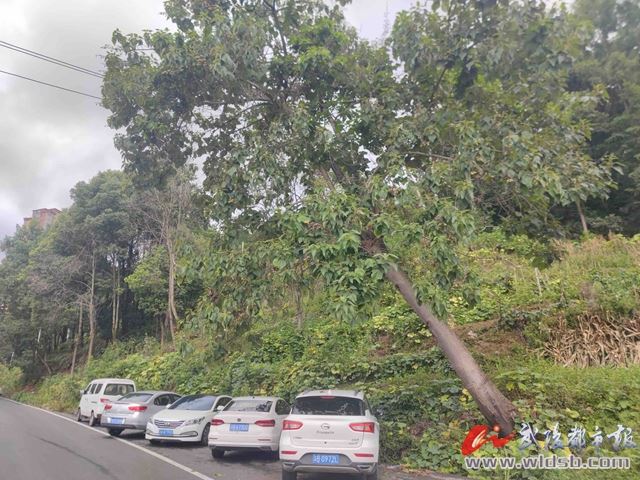 “三级贯通”机制显高效
基层创新治理解急难
——记黔江区城东街道数字治理实践