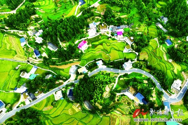 “丰”景如画绘就乡村振兴新图景