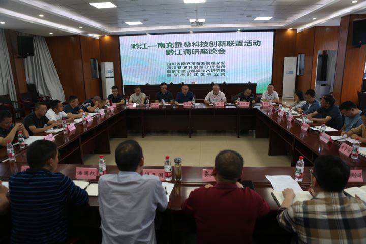 助力两地蚕桑产业高质量发展黔江南充蚕桑科技创新联盟座谈会召开