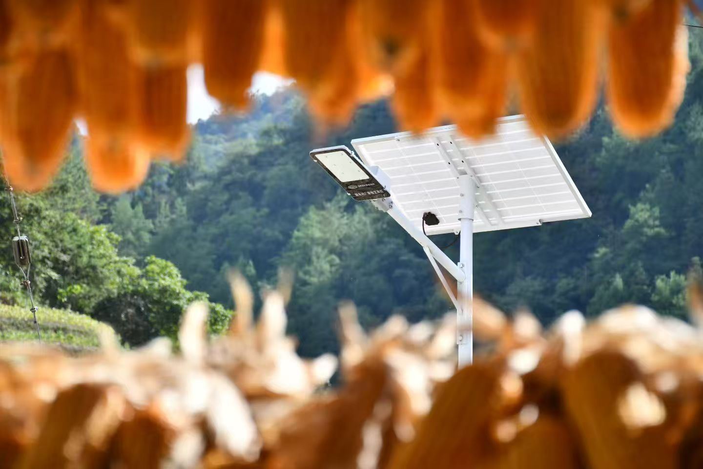 新华乡：盏盏路灯暖民心照亮群众出行路