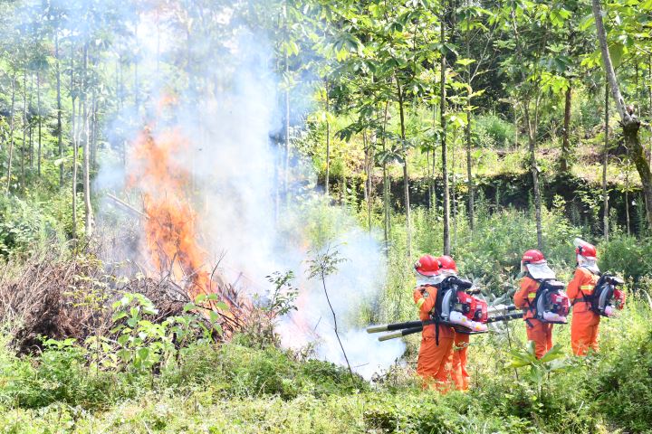 渝鄂联动开展跨区域森林火灾扑救演练