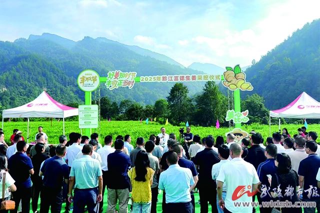 科技赋能富锶生姜产业
太极镇“致富姜”喜获丰收