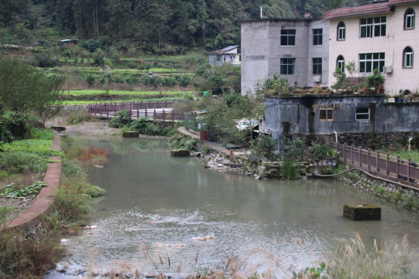 “三本账”谱写城西乡村振兴新篇章