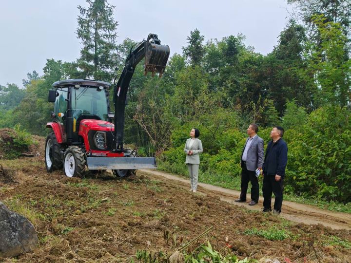 城东街道：交出耕地保护超额成绩单