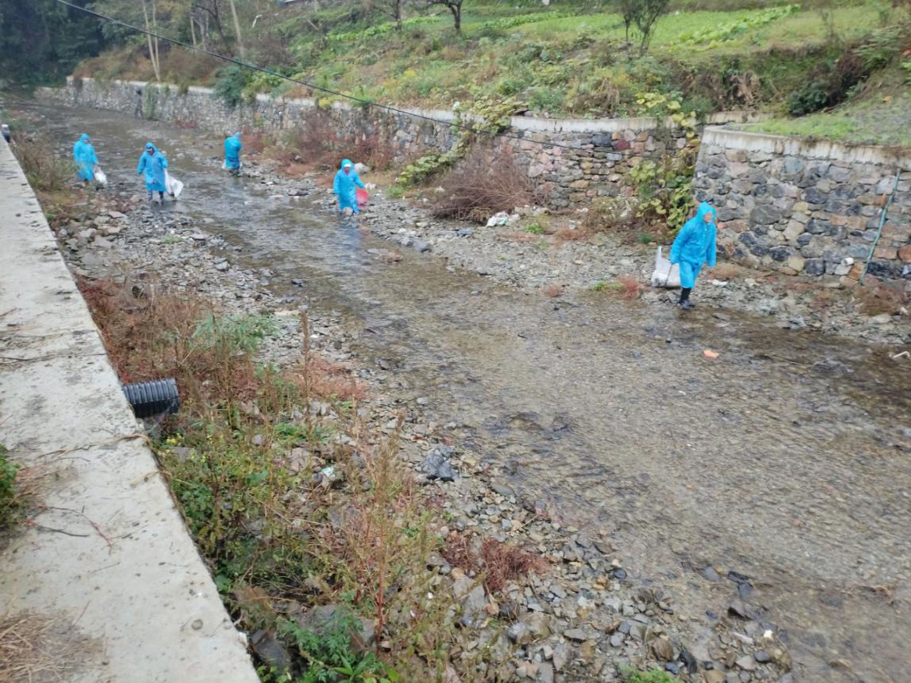 城东街道开展河道漂浮物专项整治活动