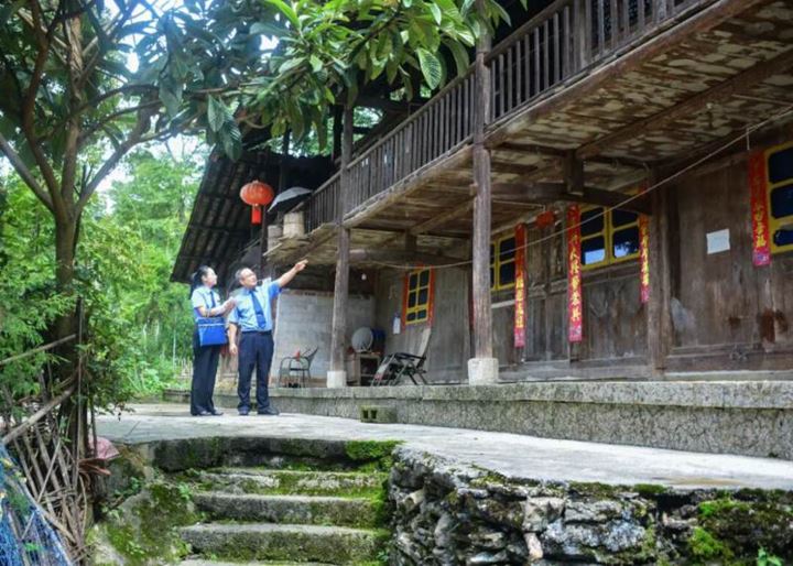 黔江区检察院守护一方乡愁公益诉讼让百年“活化石”获新生