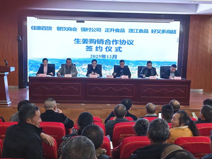 金溪镇举行生姜产业高质量发展联农助农签约仪式