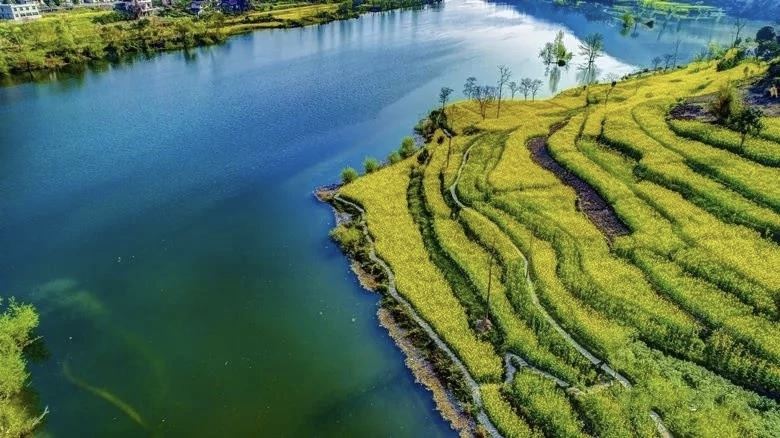 “共管共治共营”——阿蓬江镇绘就水清岸绿业兴民富新画卷