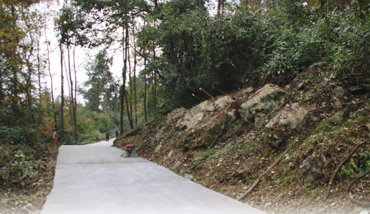 中央专项彩票公益金为黔江区濯水镇双龙村铺就产业发展坦途