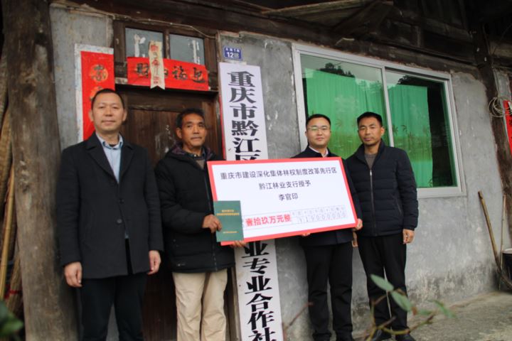 黔江颁发首本特色经济林经营收益权证林权改革为“绿色银行”注入金融活水