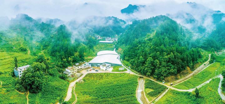 金溪镇“四三工作法”让“三方议事”落地生根