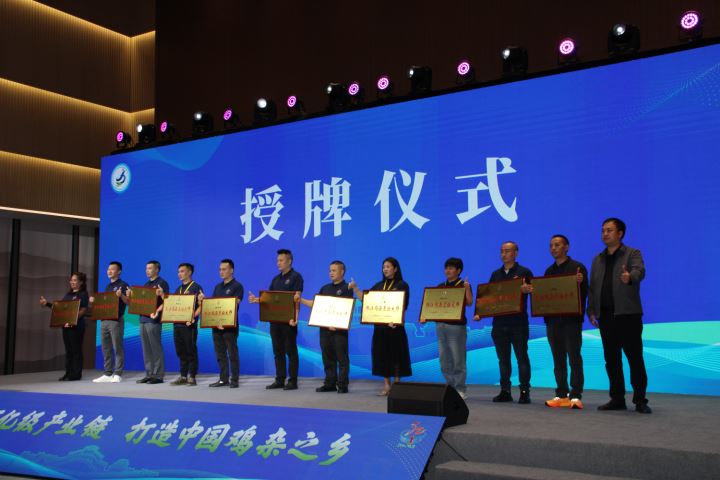 一锅鸡杂的产业进阶：黔江味道如何香飘全国？