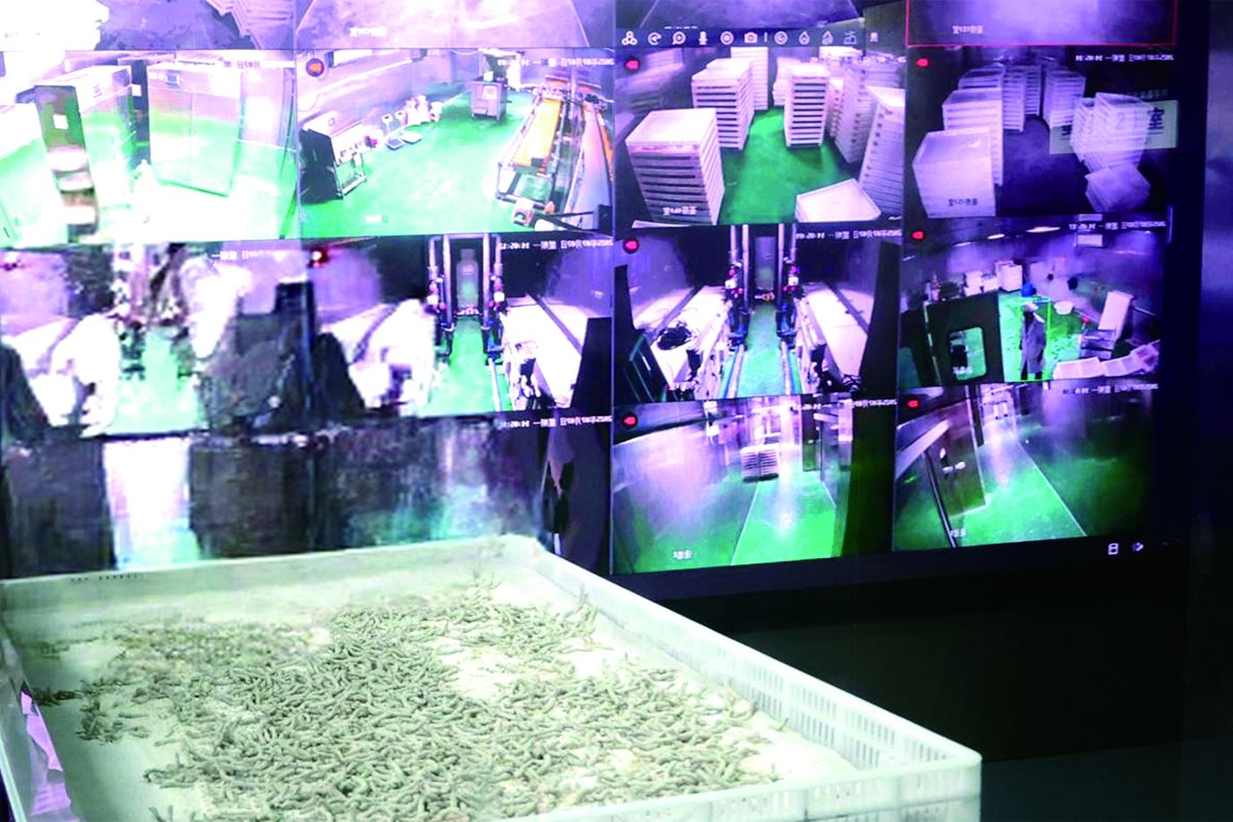 锚定生态优势
健全攻坚机制创新利益联结
黔江区林业局推动招商引资“招得来”“落得快”