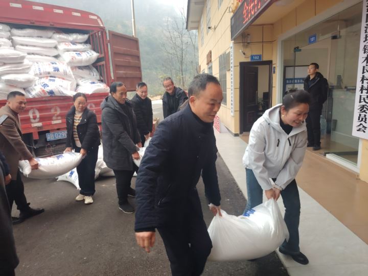 新年送化肥春管促振兴