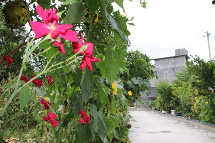 从问题台账到幸福清单看石会镇如何打赢集中整治攻坚战