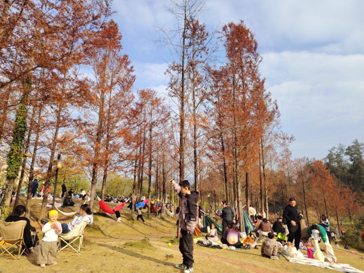 新城公园集群建设升级居民推窗见绿幸福可感