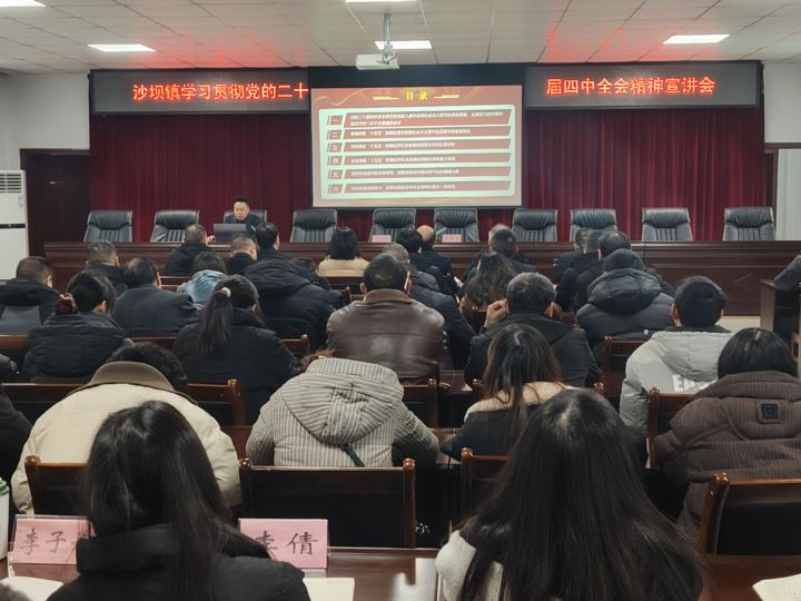 沙坝镇召开学习贯彻党的二十届四中全会精神宣讲会
